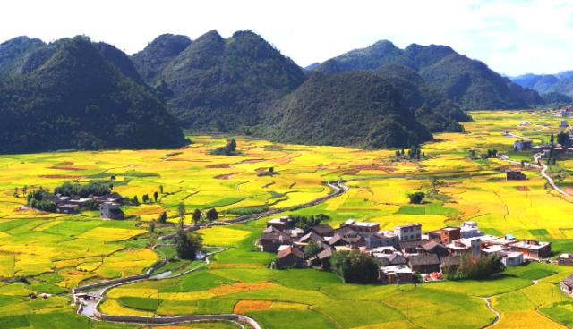 生態(tài)環(huán)境部、農(nóng)業(yè)農(nóng)村部發(fā)布《關(guān)于進一步推進農(nóng)村生活污水治理的指導意見》