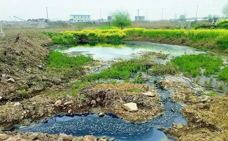 黑龍江省2024年農(nóng)村生活污水、黑臭水體治理工作方案出爐！